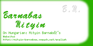 barnabas mityin business card